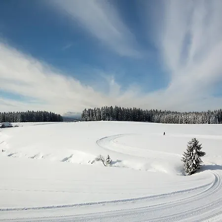 Zum Hirschen Gæstehus Furtwangen