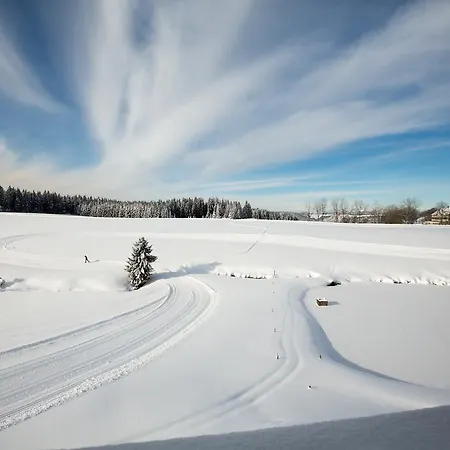 Gæstehus Zum Hirschen 3*