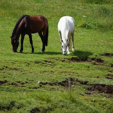 Gæstehus Zum Hirschen 3*