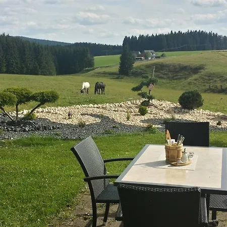 Gæstehus Zum Hirschen Furtwangen